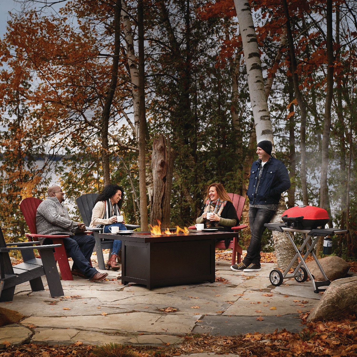 Asador Napoleon Portatil TravelQ 285RDX