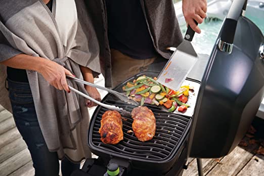 Asador Napoleon TravelQ Electric - PRO285E